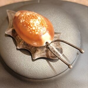 *RARE* epic genuine cowrie shell 925 sterling silver snail brooch